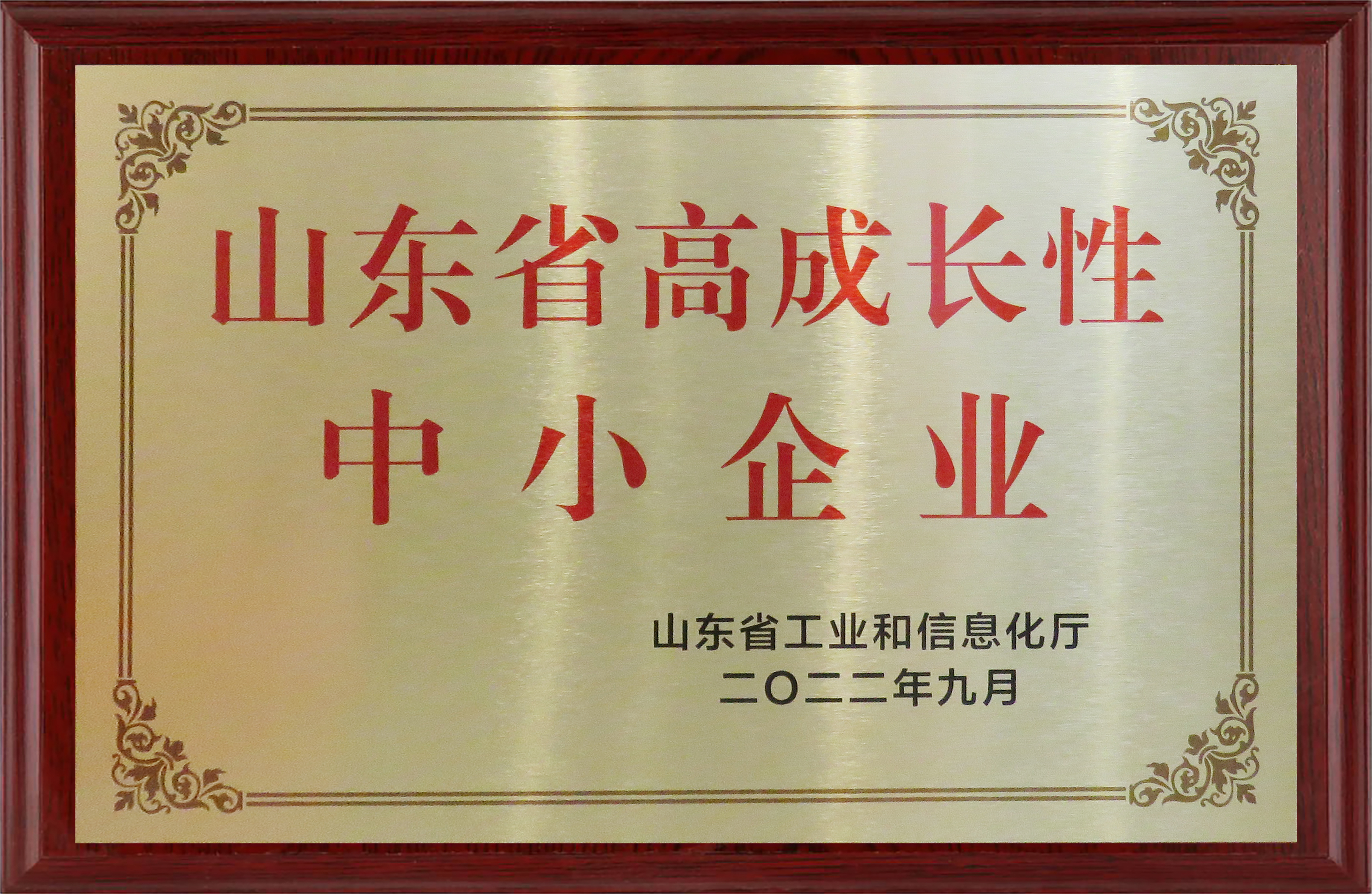 31.ɽʡ߳ɳСҵ.jpg